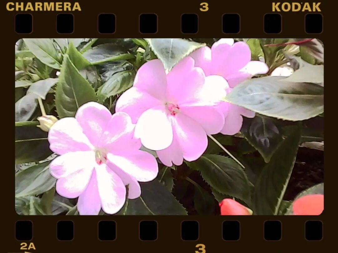 块的电子垃圾全世界抢疯了尊龙凯时·中国网站200(图2)